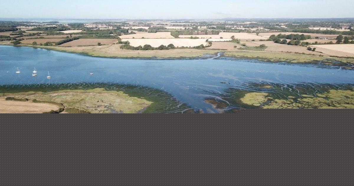 Major upgrade underway at waste treatment works