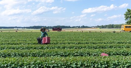Is solar really overrunning farmland? Data in North Carolina says no.