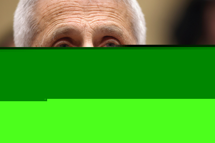 The Secret Diary of Anthony Fauci (aged 85¾)