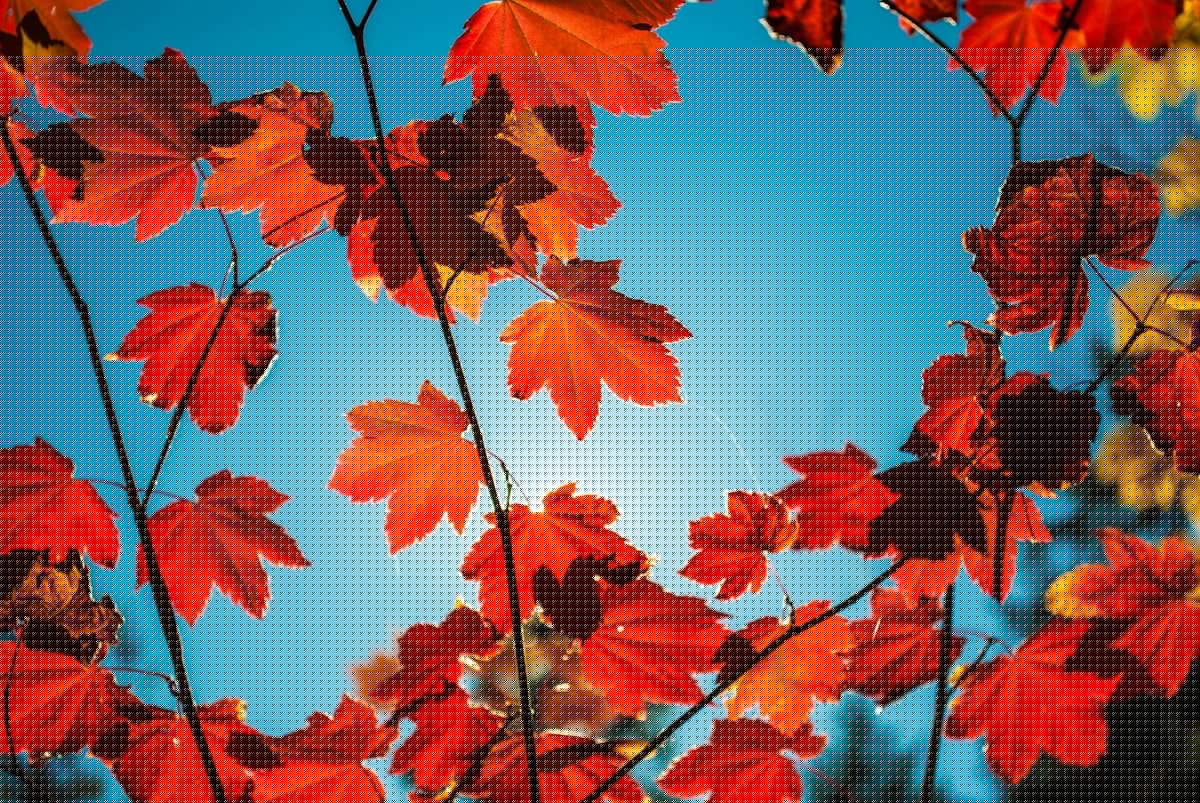 Iowa Fall 2026 Looks Warm And Dry Says Farmers Almanac