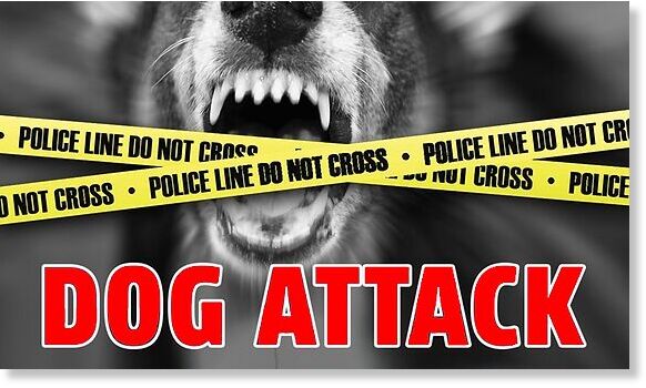 Teenage girl dies in hospital after dog attack in New South Wales, Australia
