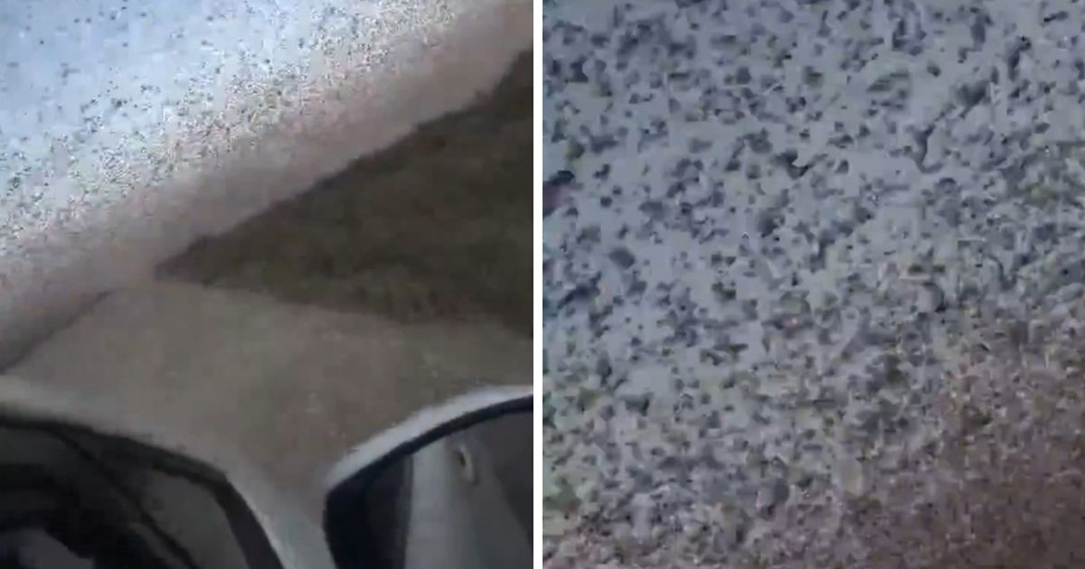 Iz Rusije stižu "apokaliptični" prizori: Nebo se zacrnilo od skakavaca, snimak da se naježiš!