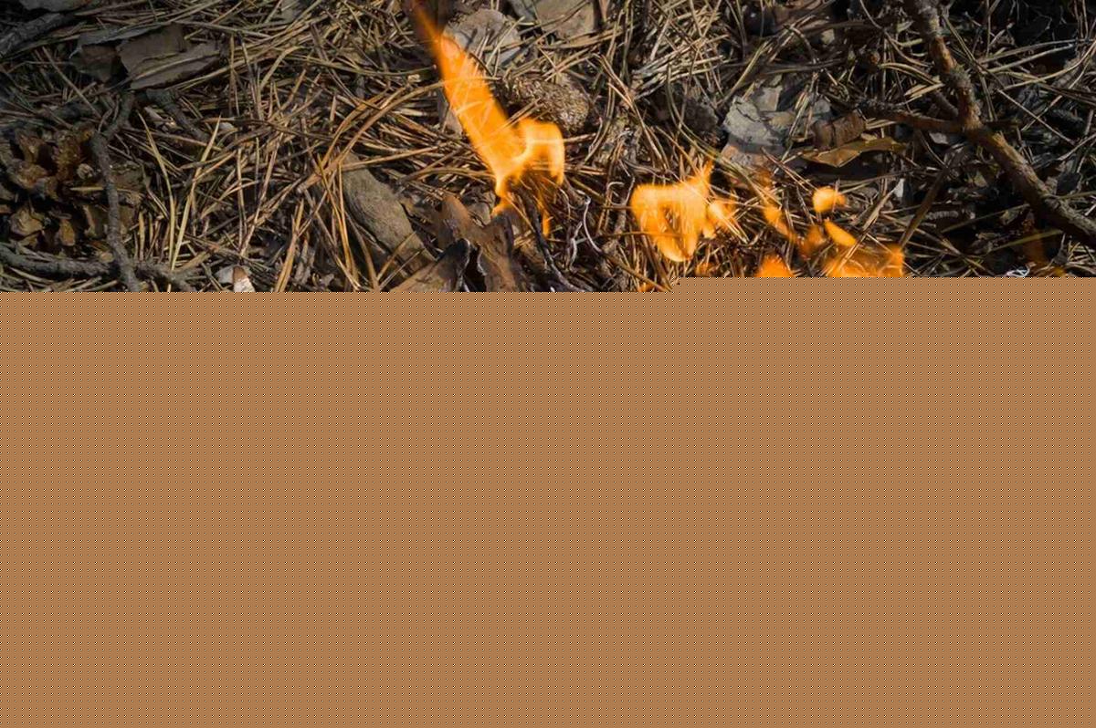Incendie en Gironde et dans les Landes : jet de mégots, non-respect des restrictions… quelles sont les sanctions encourues ?