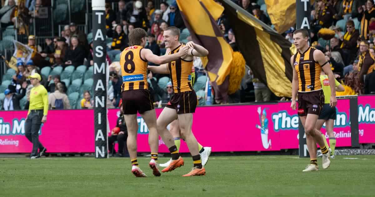 'Not a long-term issue': Stadiums Tasmania defends under-fire UTAS surface