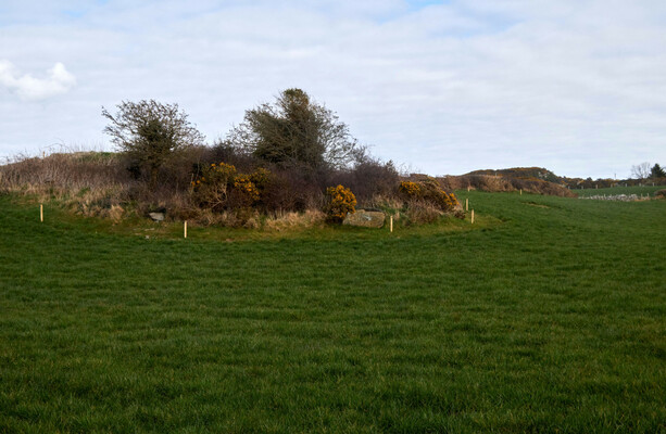 Ireland should embrace being the land of the piseog