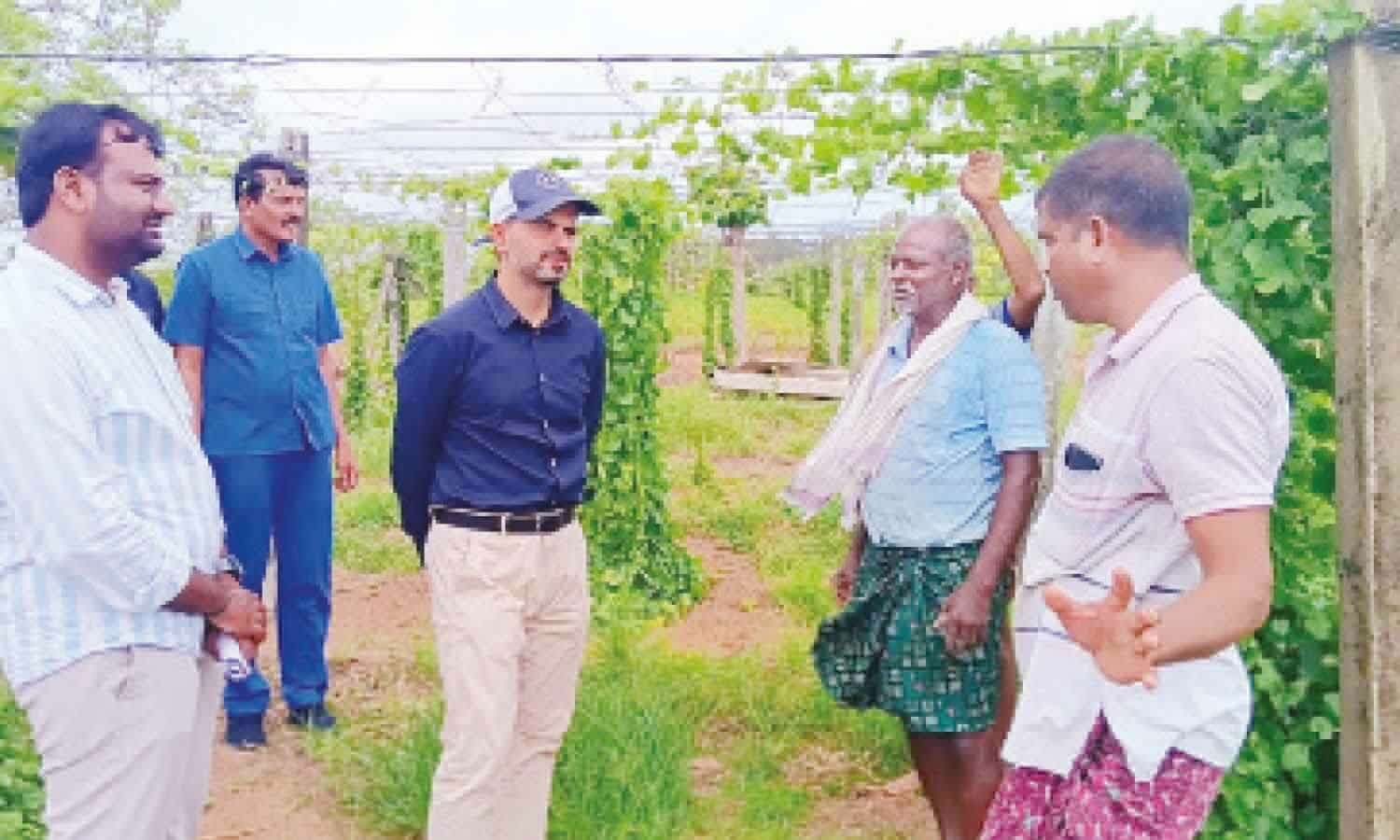 Vegetable farming yields higher profits than paddy: Collector Rahul Sharma