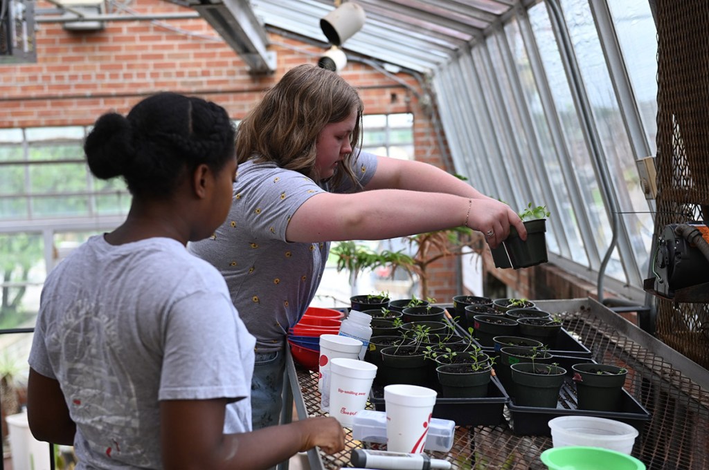GCSU grant seeks to grow rural business