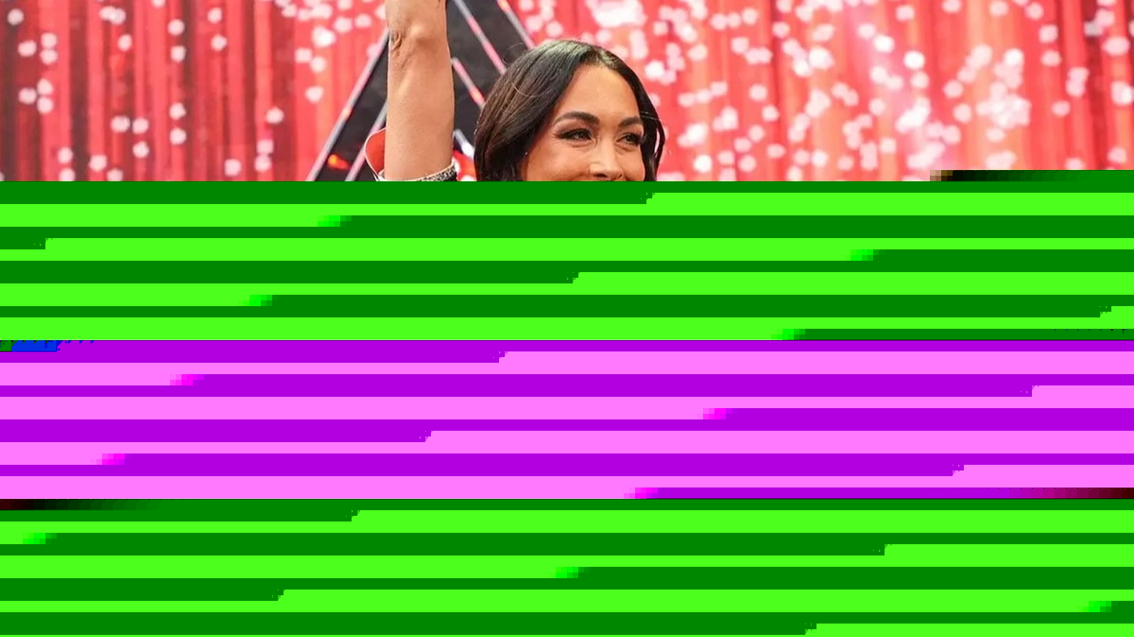 Brie Bella Reveals Return Timeline For Shoulder Injury She Suffered At WWE SummerSlam