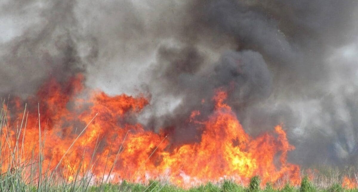 Record low in pollution from biomass burning