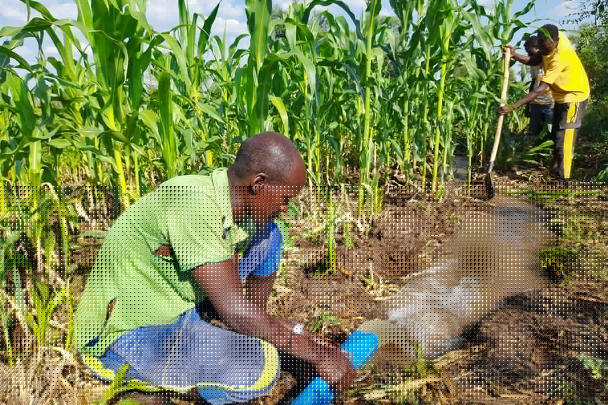How Ethiopia Plans to Transform 9.5 Million Farmers into Agribusiness Owners
