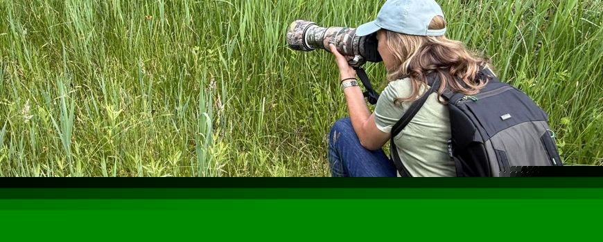 Dringende oproep aan natuurfotografen: “Spreek elkaar aan als wilde dieren worden verstoord”
