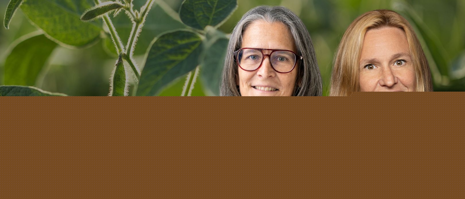 Soy: A world journey from success to uncertainty