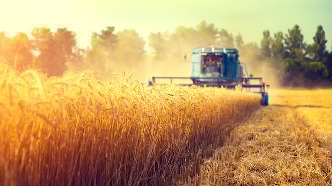 Shortages of what foods exactly? asks Britain