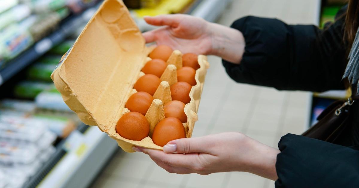 High welfare eggs can carry a greater environmental cost, UK study finds