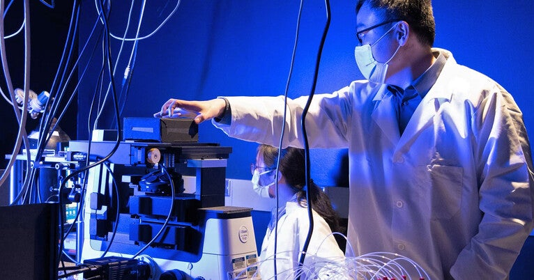 New Technique Offers Bigger and Better Window Into RNA Activity in Complex Tissue