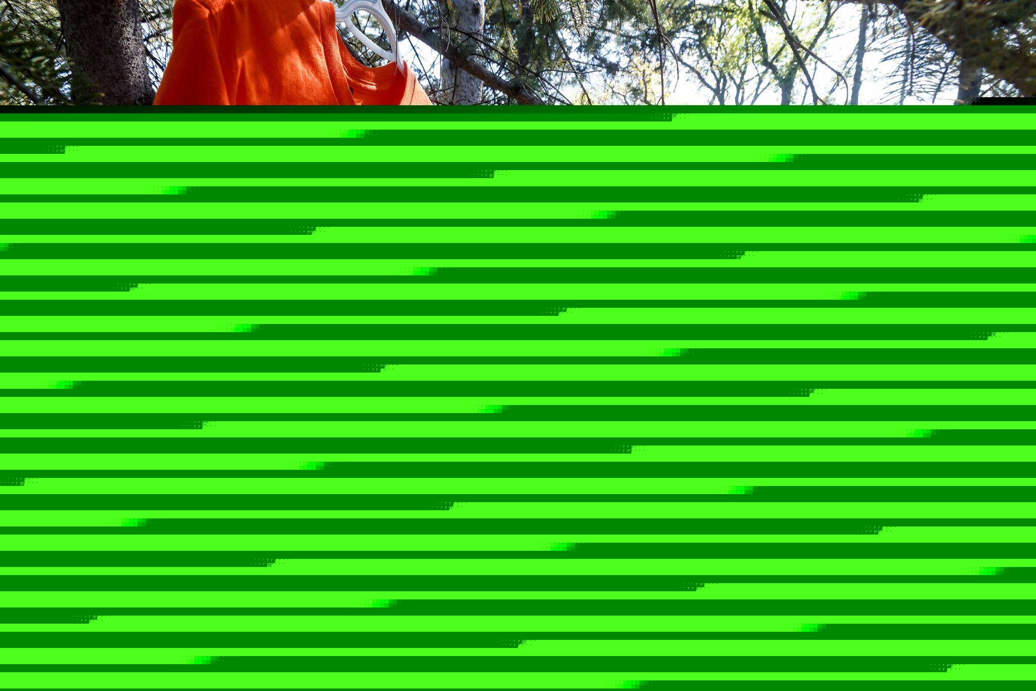 New truths emerge among sea of orange