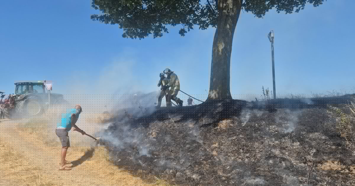 Incourt : fermiers et pompiers stoppent un incendie avant qu’il ne se propage