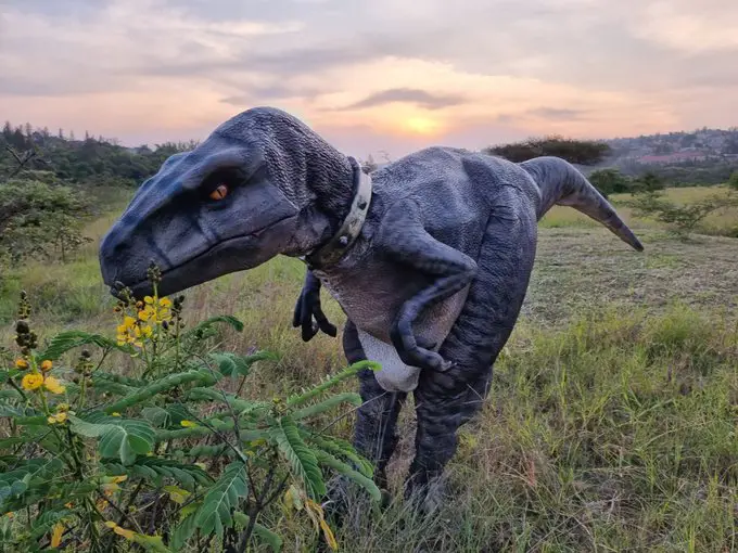 Comment on Dinosaur Robot And Climate Activist, Frankie de Dino, Visists Rwanda’s Nyandungu Eco-Tourism Park by Binance推荐