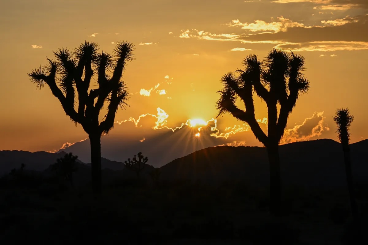 What a government shutdown will mean for Californians, from Social Security to national parks
