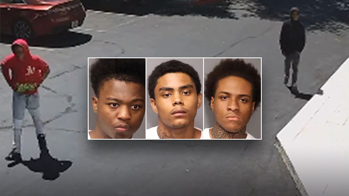 Repeat offender busted again less than 24 hours after release in brazen jewelry store theft case: police