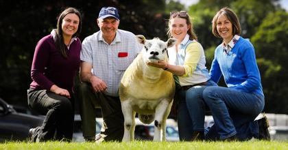 Family triumph at Kelso: Cambwell Hotshot Texel sells for £32,000