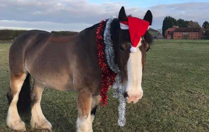 Hovis’ Friday diary: ‘2024 is gone faster than a Polo mint near my left nostril’