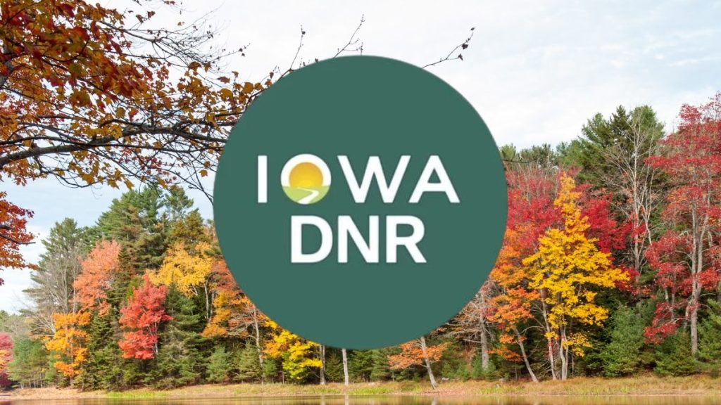 DNR Begins Releasing Its Weekly Fall Color Reports