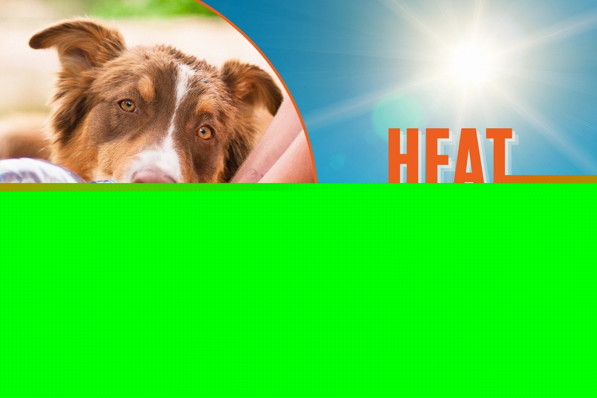 West Alabama Faces Another Day of Dangerous Heat