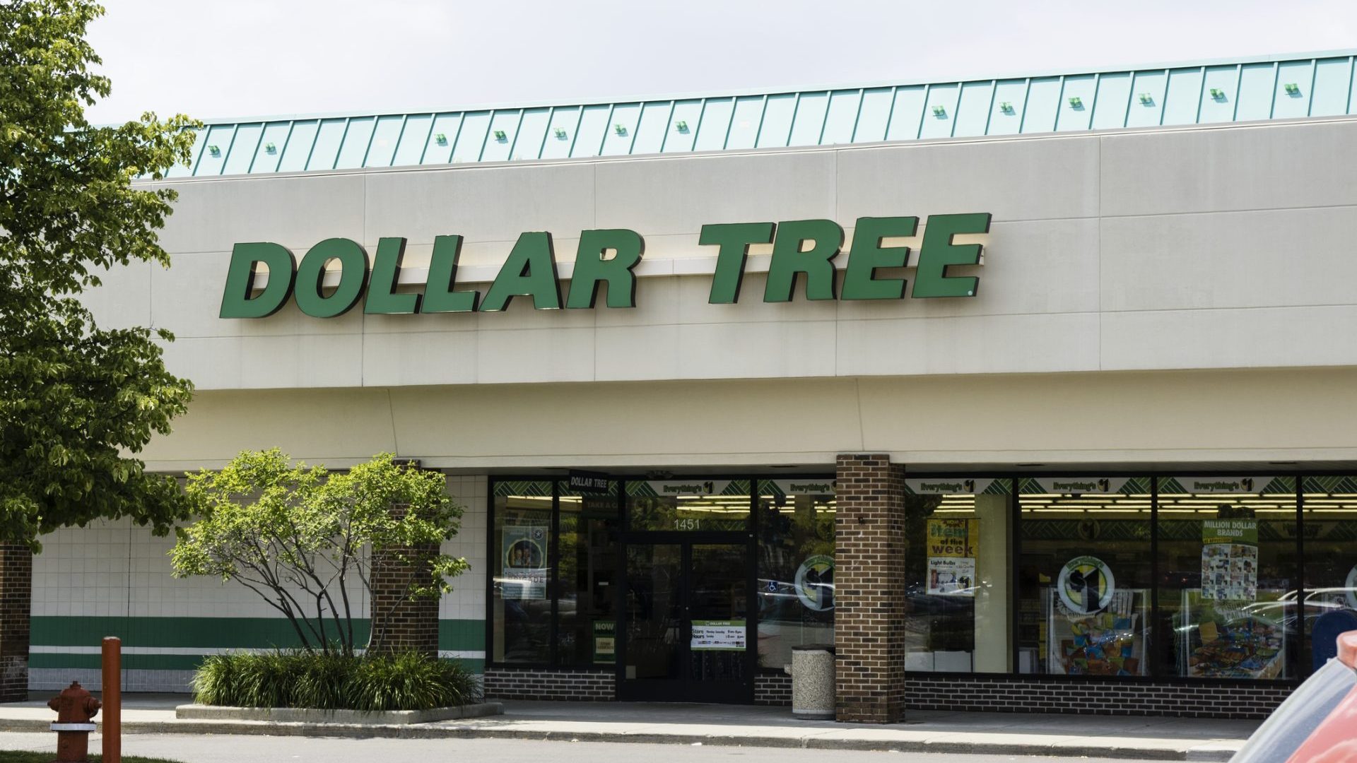 13 Dollar Tree Bargains Every Shopper Can Grab for Under $20