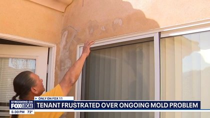 Canyon Country residents complain of mold in home