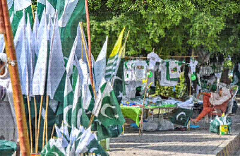 A seasonal woman vendor waits for customers while displaying Pakistani national flags and Independence Day celebration items along Murree Road in Rawalpindi ahead of August 14.