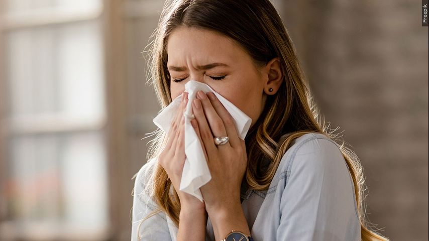 FRIDAY HEALTH REPORT: Indoor allergens like dust mites and mold can trigger symptoms year-round