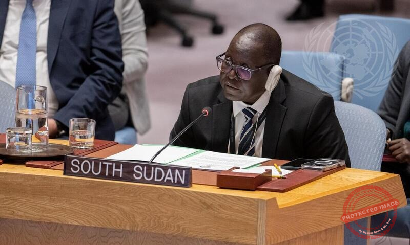 South Sudan envoy urges UN to use precise language when reporting on armed groups