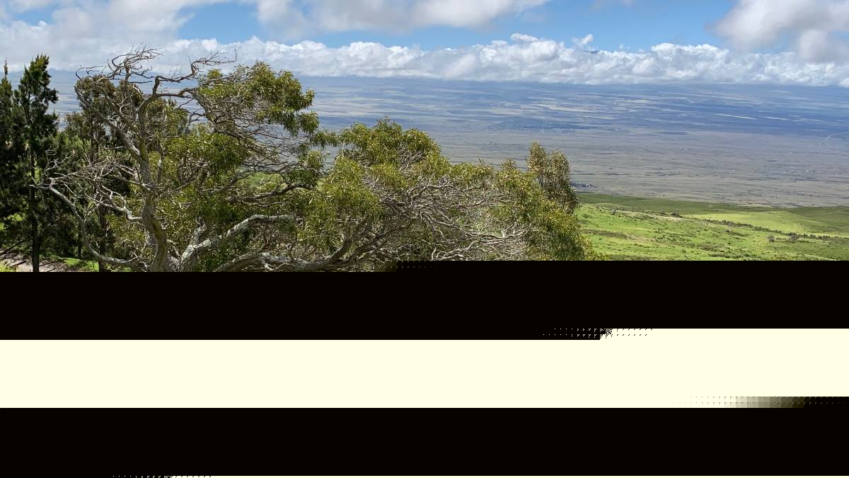 Hawaii County Surf Forecast for August 05, 2026