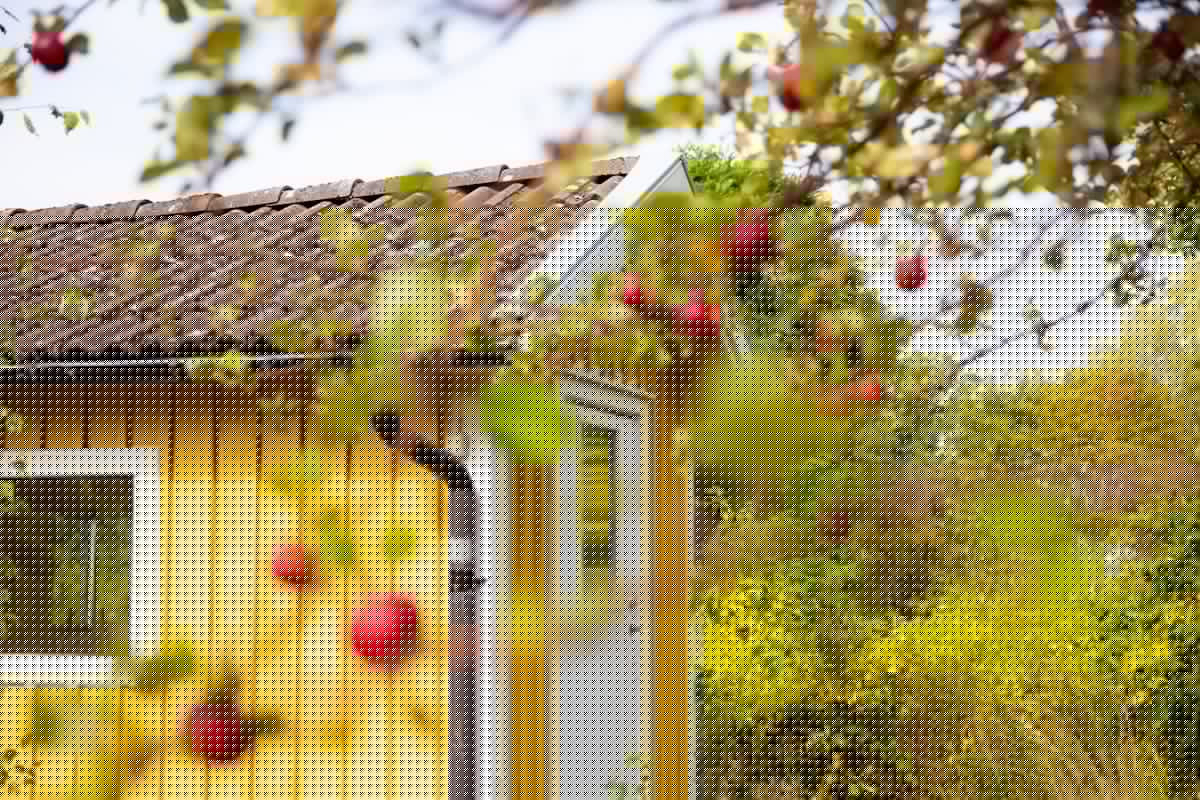 10 Tips To Prepare Your Lubbock Home For Fall