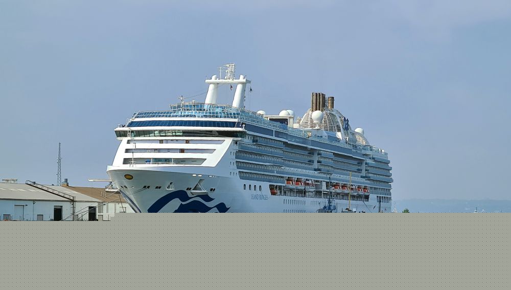 Comment on A Princess Cruise review by Rachel Heller