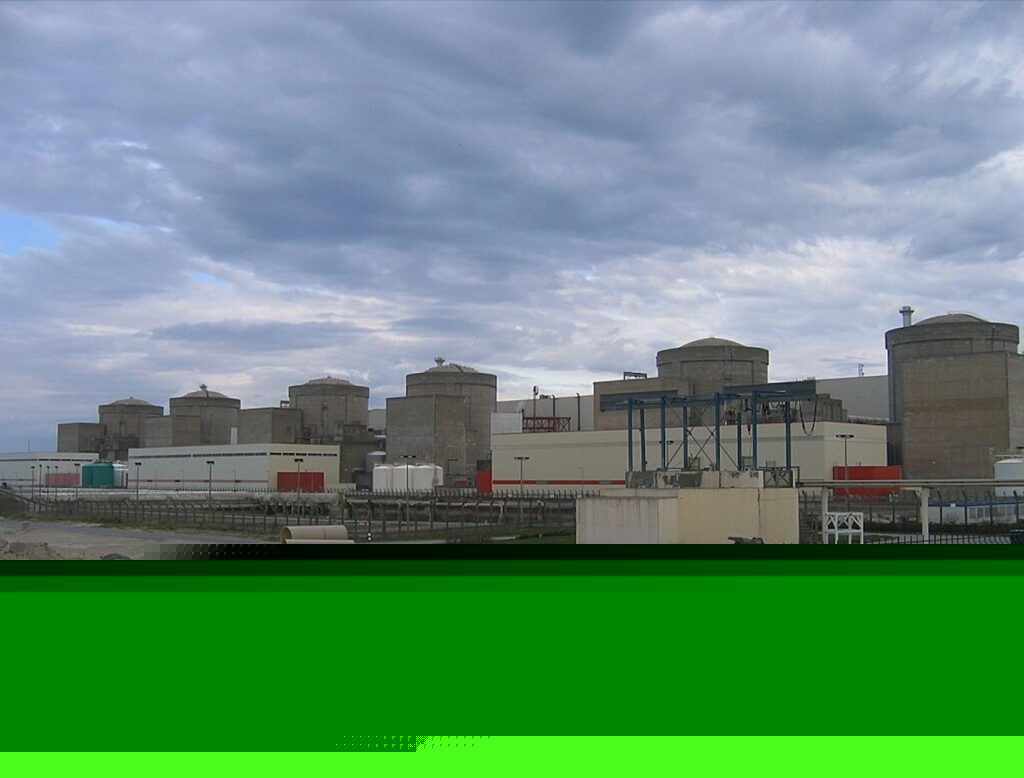 Un plaga de meduses obliga a tancar tres reactors d’una central nuclear francesa