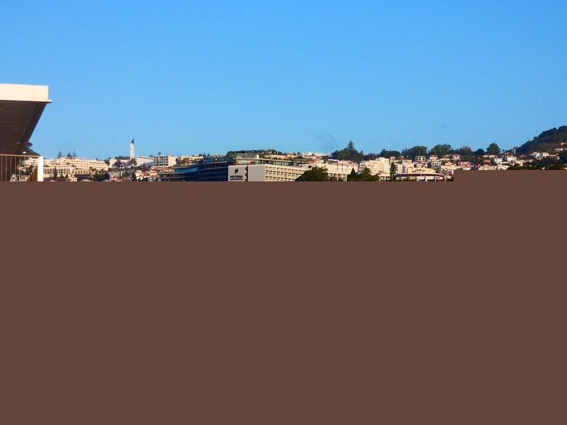 Who Bought the Oceania Sirena? Evaluating the Potential Buyers