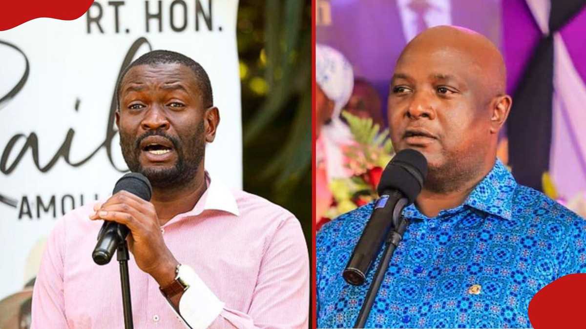 Edwin Sifuna, Godfrey Osotsi axed from key Senate oversight committees