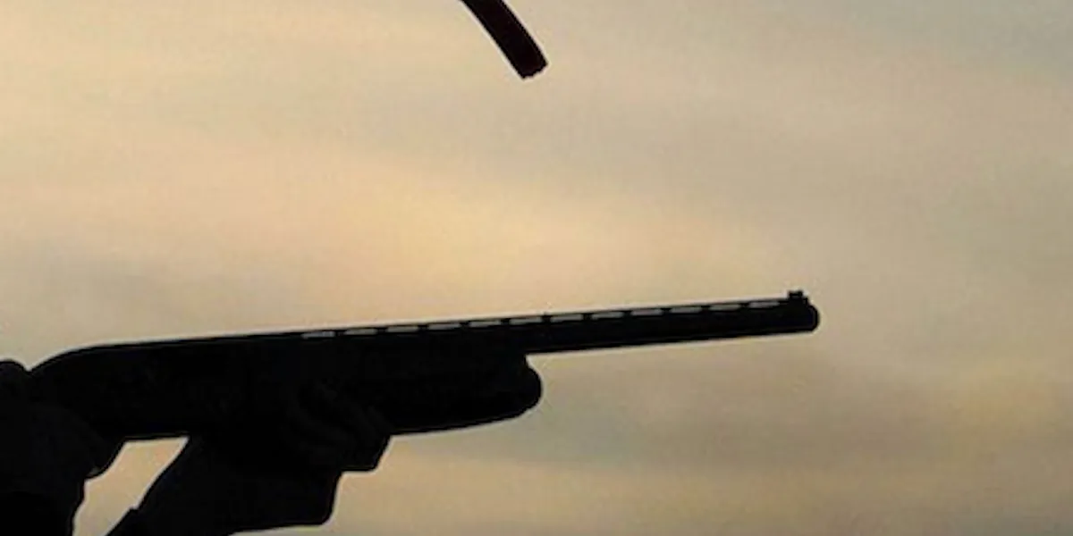 Shotgun-toting homeowner blasts tires out of burglary suspects' car — and alleged crooks hilariously fall in line
