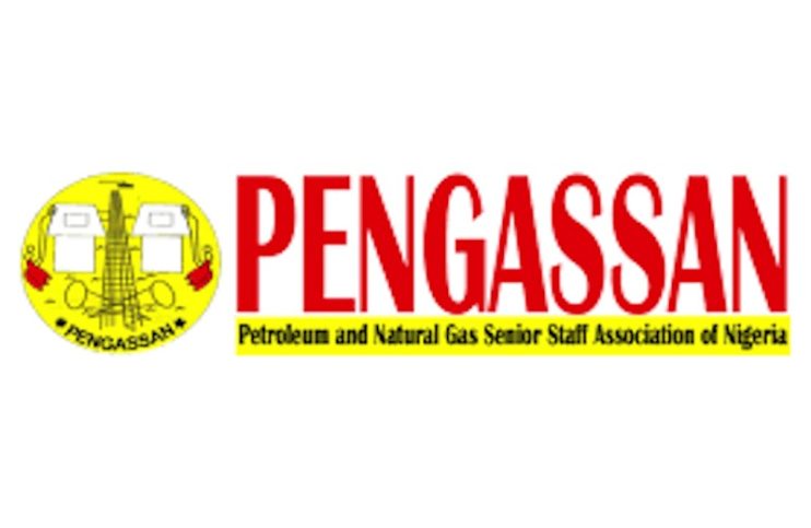 Workers Stranded As PENGASSAN Shuts Oil Agencies, Power Supply Falls Nationwide
