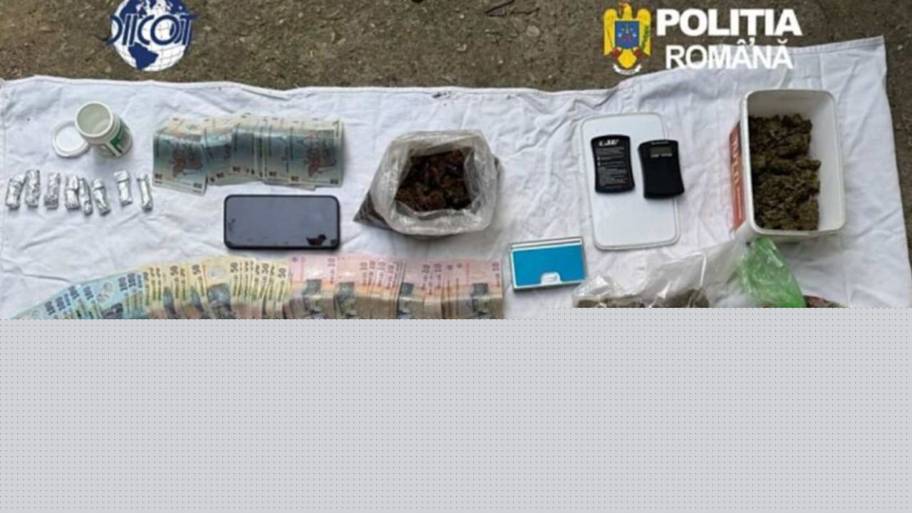 Droguri ascunse în recipiente de tipul sprayurilor nazale, descoperite de poliţişti înainte de marile festivaluri ale verii