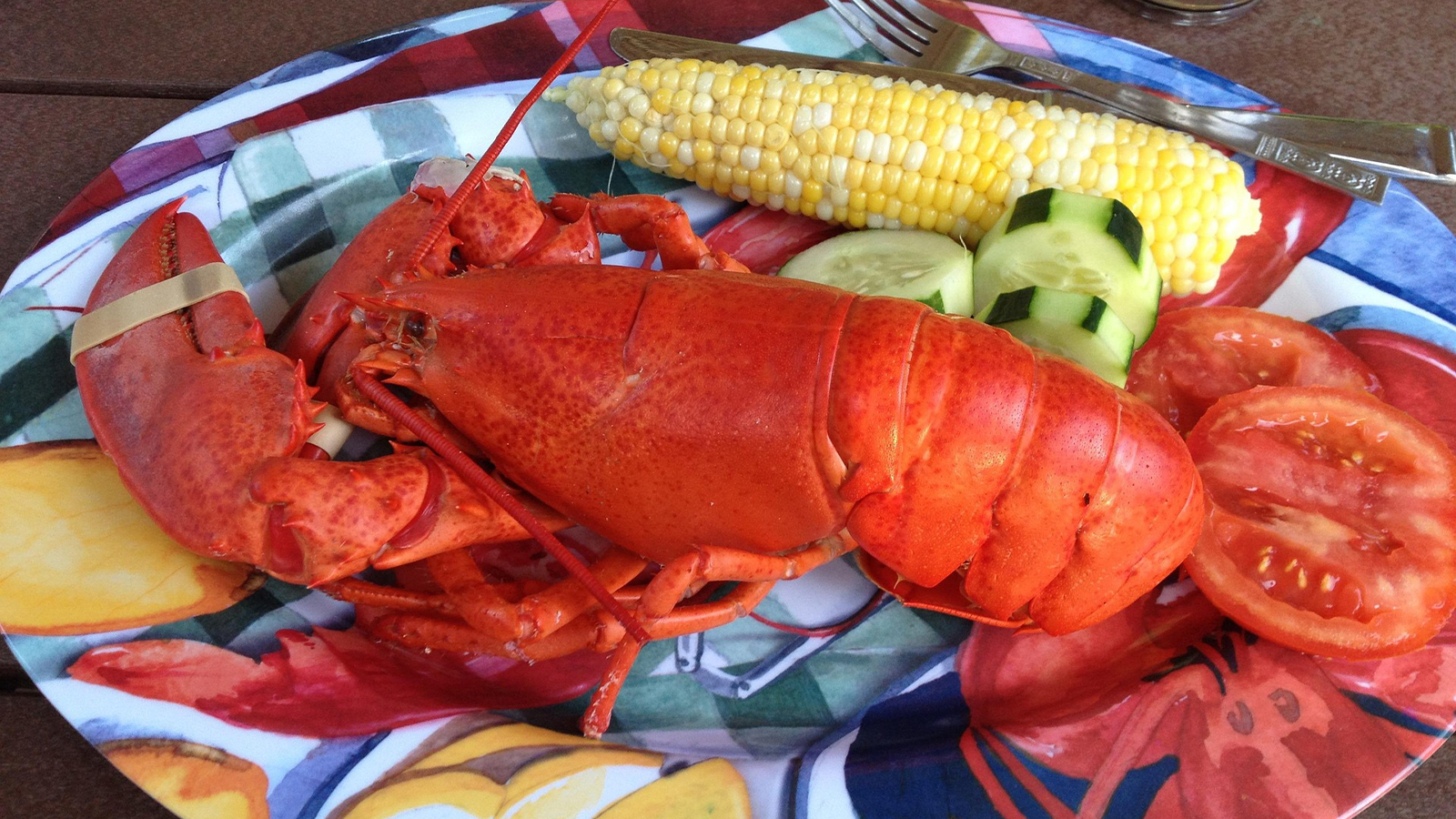 PETA Vows To Go Full Steam Ahead, Appealing Judge’s Order Tossing Out Its Maine Lawsuit