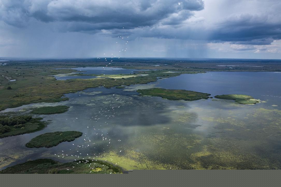 ‘Wild Delta' documentary to screen at Romanian festivals ahead of October cinema release