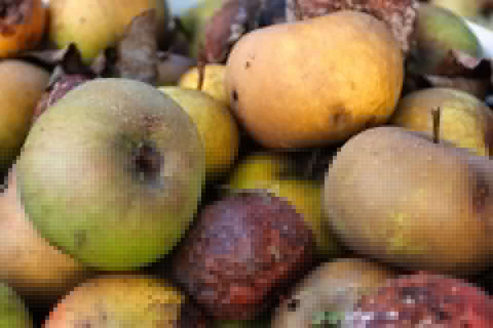 Reducir el ‘desperdicio alimentario’ desde los comedores escolares, para concienciar a los niños y rebajar el impacto medioambiental