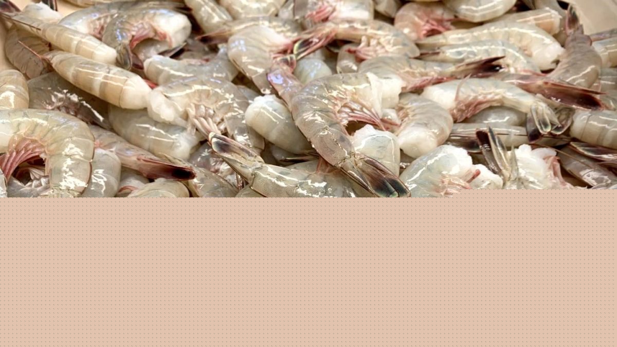 24 restaurants in north Louisiana busted for not disclosing origin of shrimp being served, as required by law