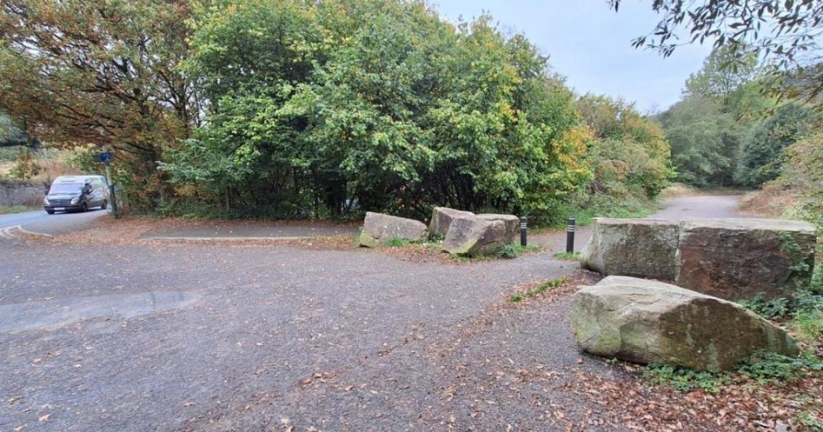 Fears for Queen’s Jubilee woodland in Rossendale under threat from housing plan