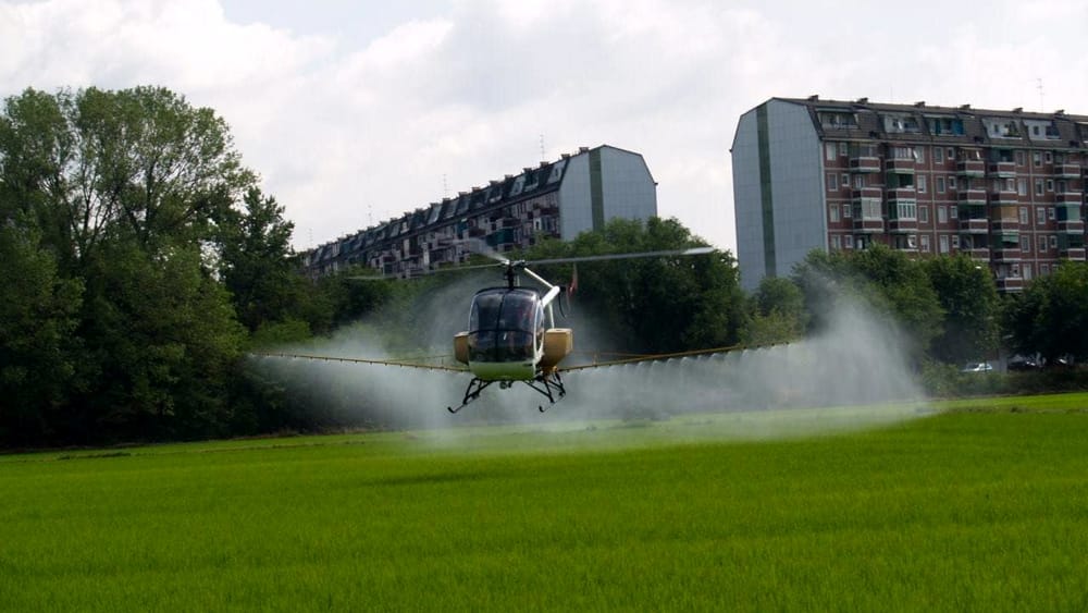 Caso Dengue nel Milanese: al via la disinfestazione straordinaria d'urgenza
