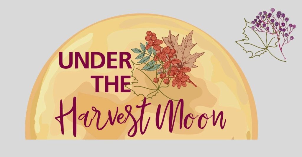 Dowagiac to celebrate Under the Harvest Moon Festival October 11