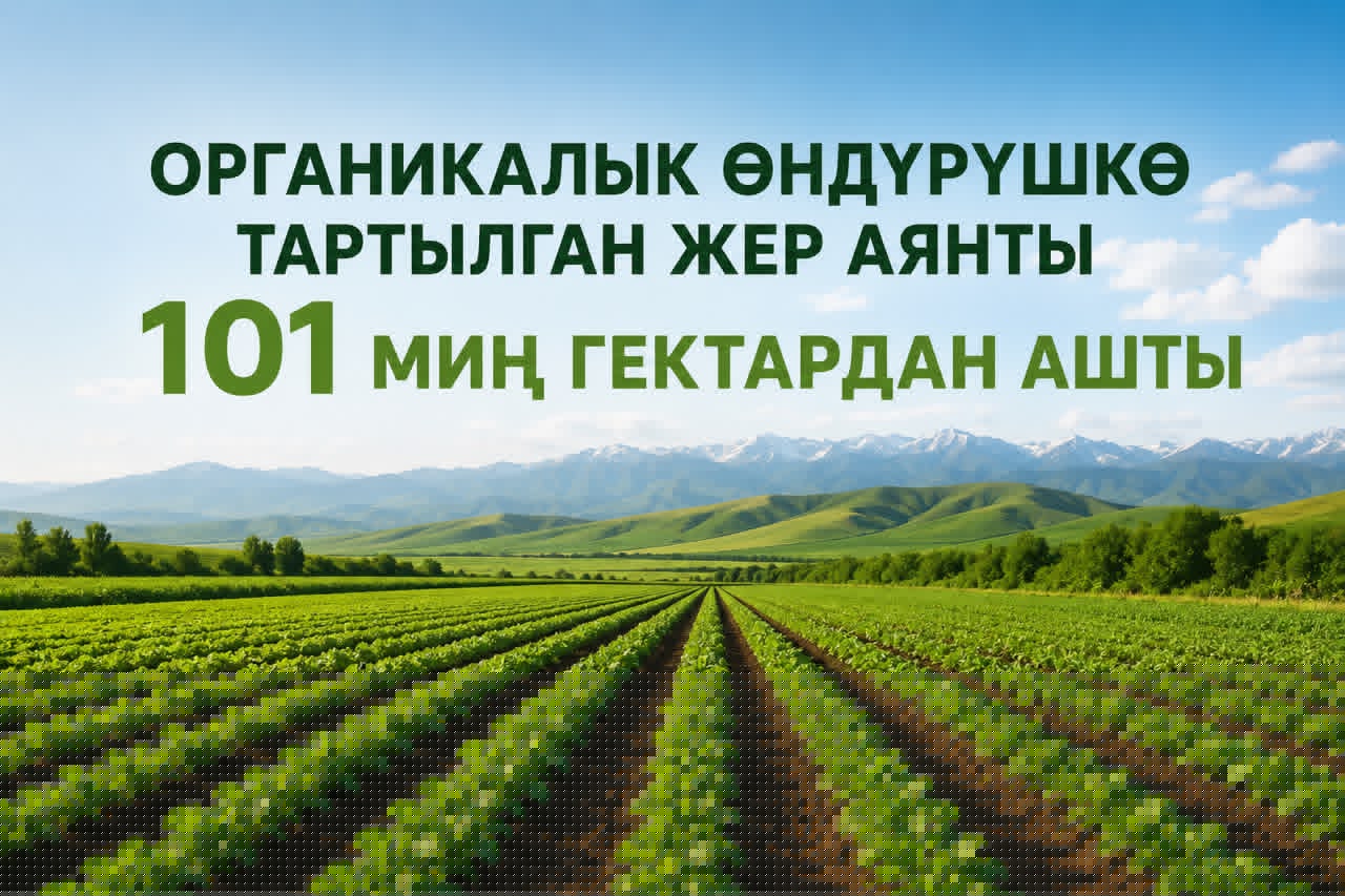 В&nbsp;Кыргызстане расширяется площадь органического производства